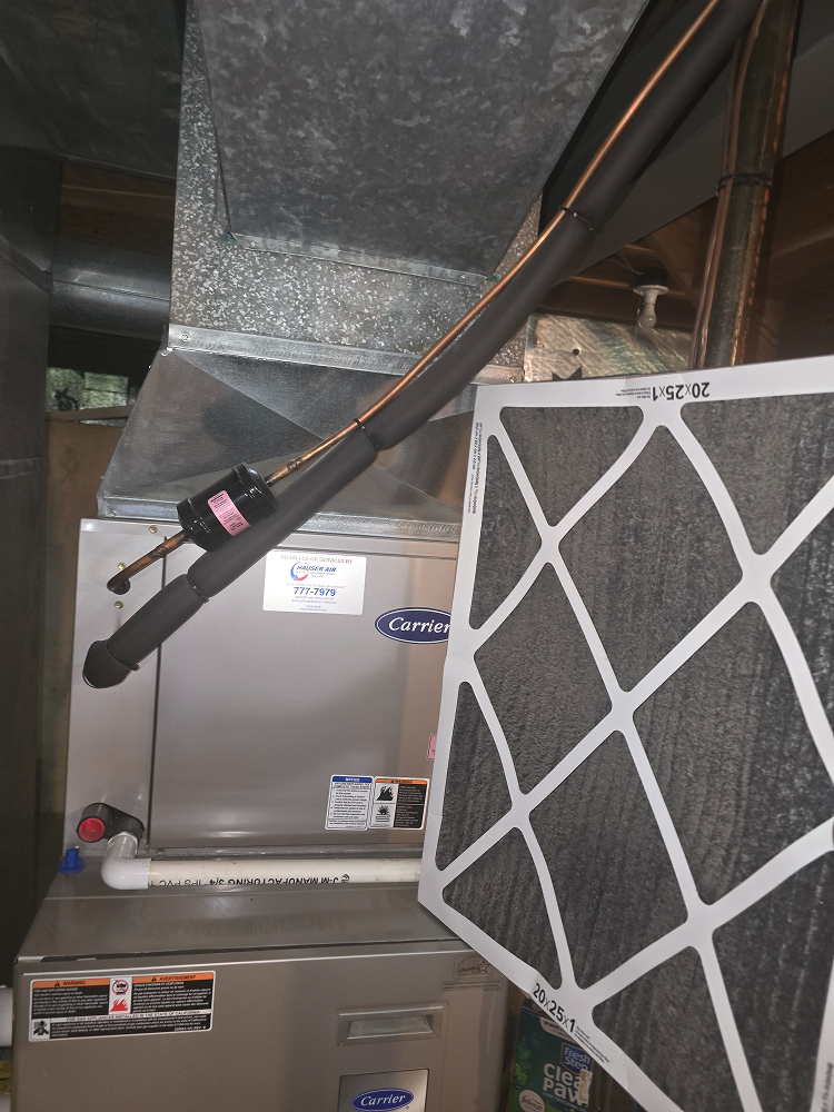 Grove City — Replaced Carrier ignitor assembly and restored reliable furnace startup.